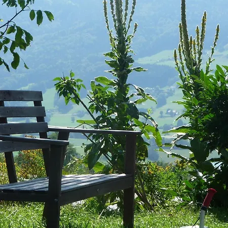 Çiftlik konaklama Familienferienhof Stabauer Zell am Moos