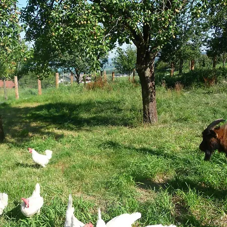 Farm stay Familienferienhof Stabauer