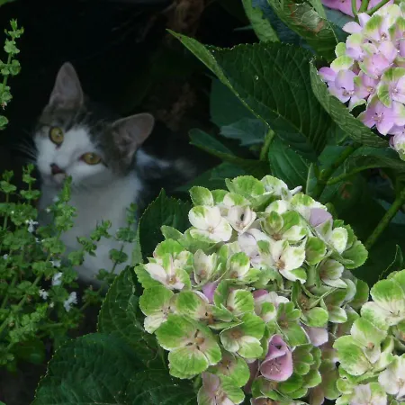 Agroturismo Familienferienhof Stabauer