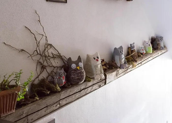 Familienferienhof Stabauer Bauernhof Zell am Moos