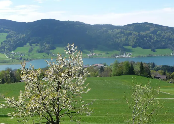 Familienferienhof Stabauer