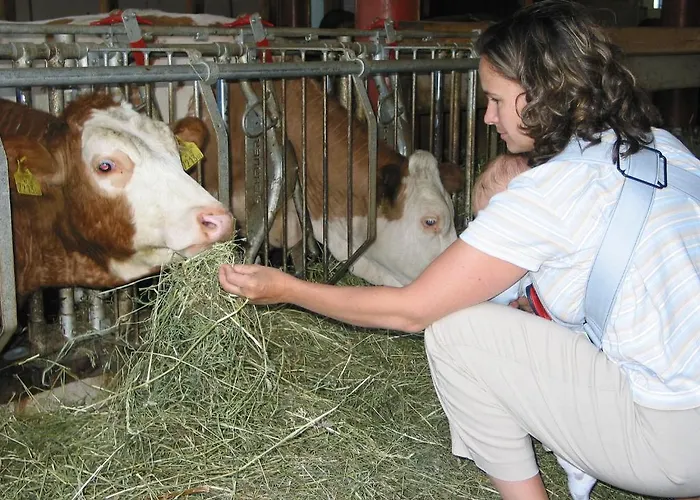 Familienferienhof Stabauer *