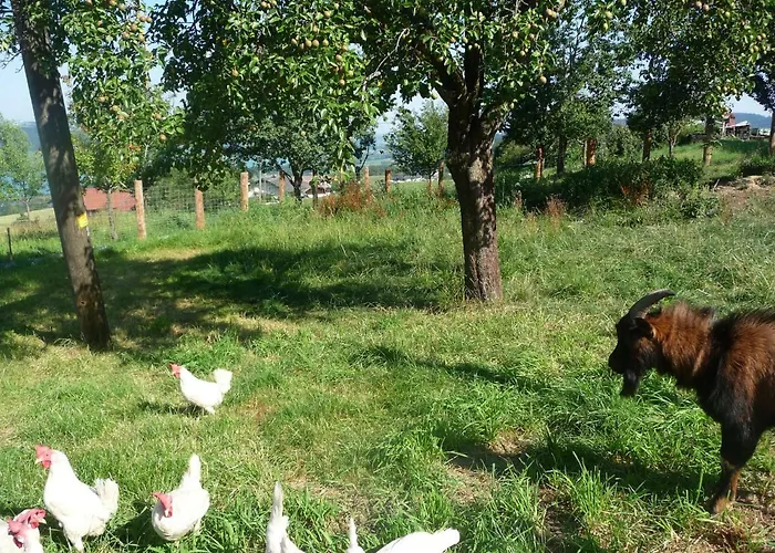 Farma Familienferienhof Stabauer