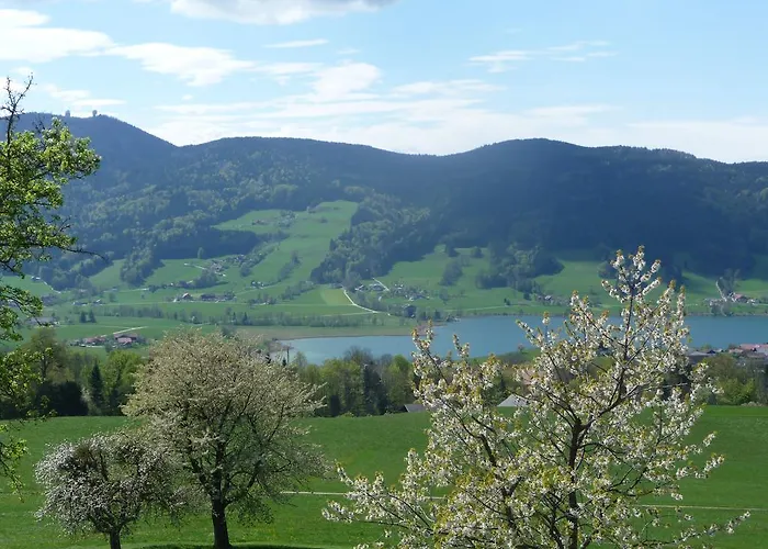 파밀리엔페리엔호프 스타바우어
